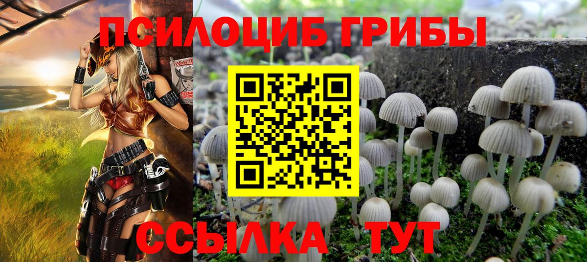 Галлюциногенные грибы Magic Shrooms  Псилоцибиновые грибы мухоморы  Кызыл  купить наркотик  Вход с VPN 