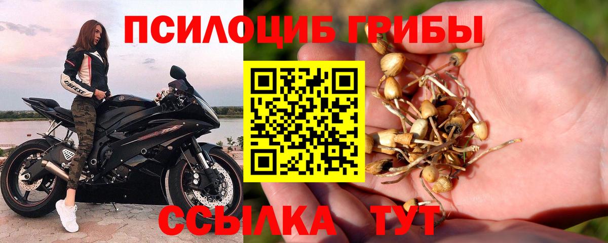 Галлюциногенные грибы мицелий Кызыл